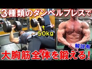 【筋トレ】ダンベルプレス50kgに挑戦した胸のトレーニング！3種類のダンベルプレスで大胸筋全体を鍛える【解説有】