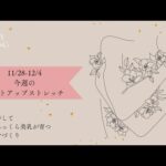 1日10分 | バストアップ | 肋骨ストレッチ| 瞑想 | あゆトレ11/28-12/4