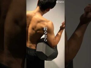 体幹トレ　腹斜筋　胸筋　ホームワークアウト　コアスクイーズトレーニング#shorts #short #coresqueeze #ひきしめたい #ダイエット