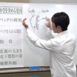 バストアップするなら豊胸人工乳腺法　Dr.古屋の手術ワンポイント講座