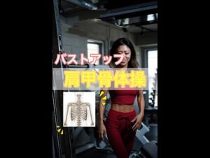 【バストアップ】自宅で簡単！肩甲骨体操！