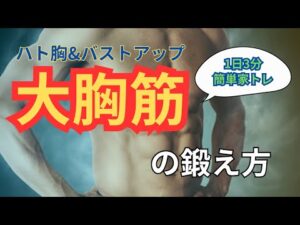 ベンチプレスはもう古い！？　How to 大胸筋でバストアップ【自宅で簡単、大胸筋の鍛え方】