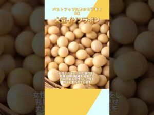 バストアップに繋がる栄養素 6 選 #バストケア #育乳 #バストサロン #豊胸